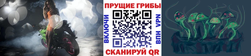 Галлюциногенные грибы Psilocybe  Купить  Суоярви 