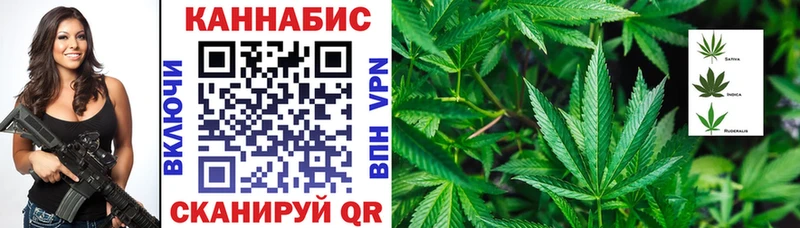 Конопля Bruce Banner  Купить где  Суоярви 